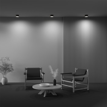 Plafonieră LED Zon negru Maytoni, D12, 12W