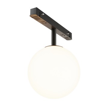 Spot magnetic pe șină Luna negru Maytoni, 5W, 3000K, H20
