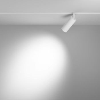 Spot magnetic pe șină Focus LED alb Maytoni, 12W, L19, H19, 36°