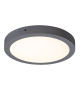 Plafoniera tip spot de suprafata Lois - 2657 Rabalux, D30, LED 24W, 1700lm, 4000k, alb
