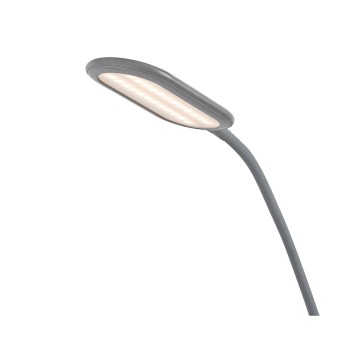 Lampadar LED Adelmo gri Rabalux 74010, 10W