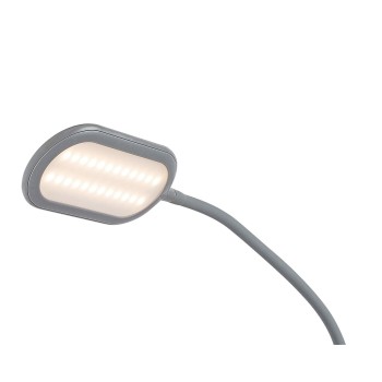 Lampadar LED Adelmo gri Rabalux 74010, 10W