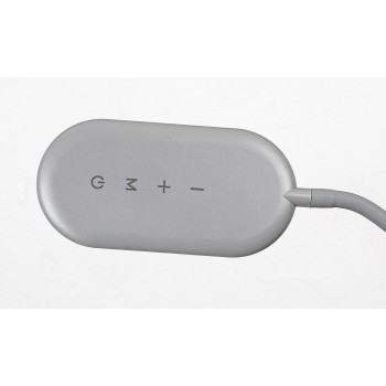 Lampadar LED Adelmo gri Rabalux 74010, 10W
