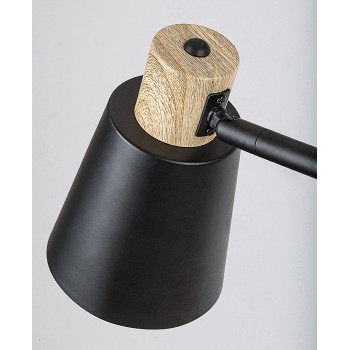 Lampadar Azim2 negru Rabalux 74229, 1xE27