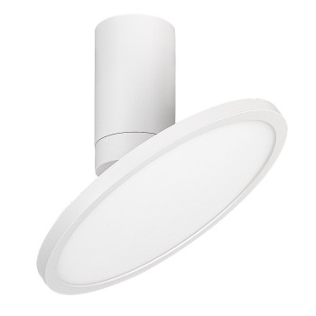 Plafoniera LED Ovidia alb Rabalux 71328, 20W, 3000K