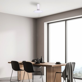 Plafoniera LED Ovidia alb Rabalux 71328, 20W, 3000K