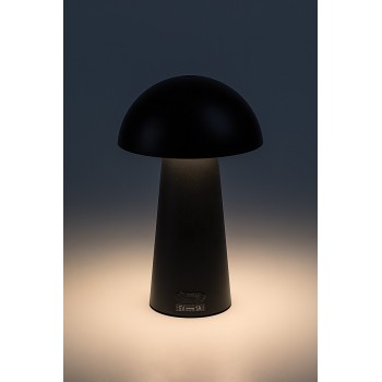 Lampa decorativa Mireo negru Rabalux 76036, 1.5W