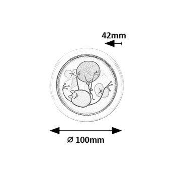 Lampa camera copiilor Froggo alb Rabalux 76071, 0.3W