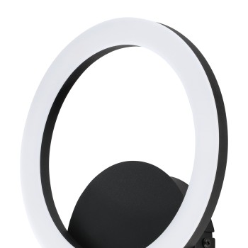 Aplica de perete LED PARRAPOS-Z Eglo 900324, 12W