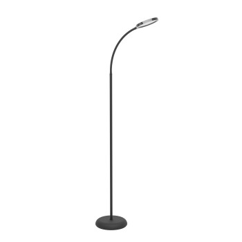 Lampadar LED LAURO Eglo 902176, 5.5W