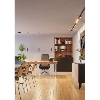 Spot pe sina TPLUS SLIM SPOT Eglo 901683, D5.5 cm, 6.6W, 2700-6500K