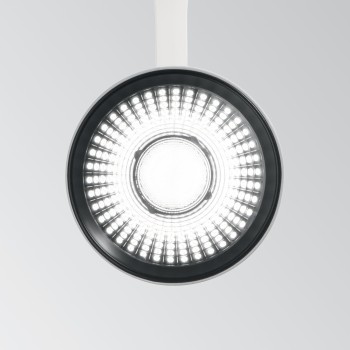 Spot pe sina LED FOX alb Ideal Lux 340944, 25W