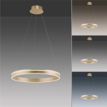 Lustra LED Q-VITO alama mata Zuma Line 8411-60, D59 cm, 44W