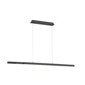 Lustra LED Q-ARIAN antracit Zuma Line 2569-13, 179x10.5 cm, 55W, RGB